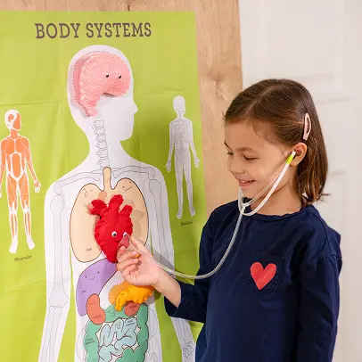 Student using a KiwiCo pretend play kit to learn anatomy.