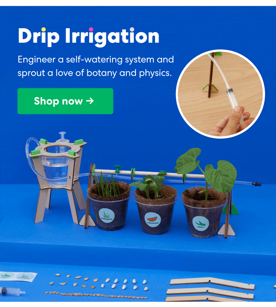 Explore how plants grow with projects from KiwiCo KiwiCo