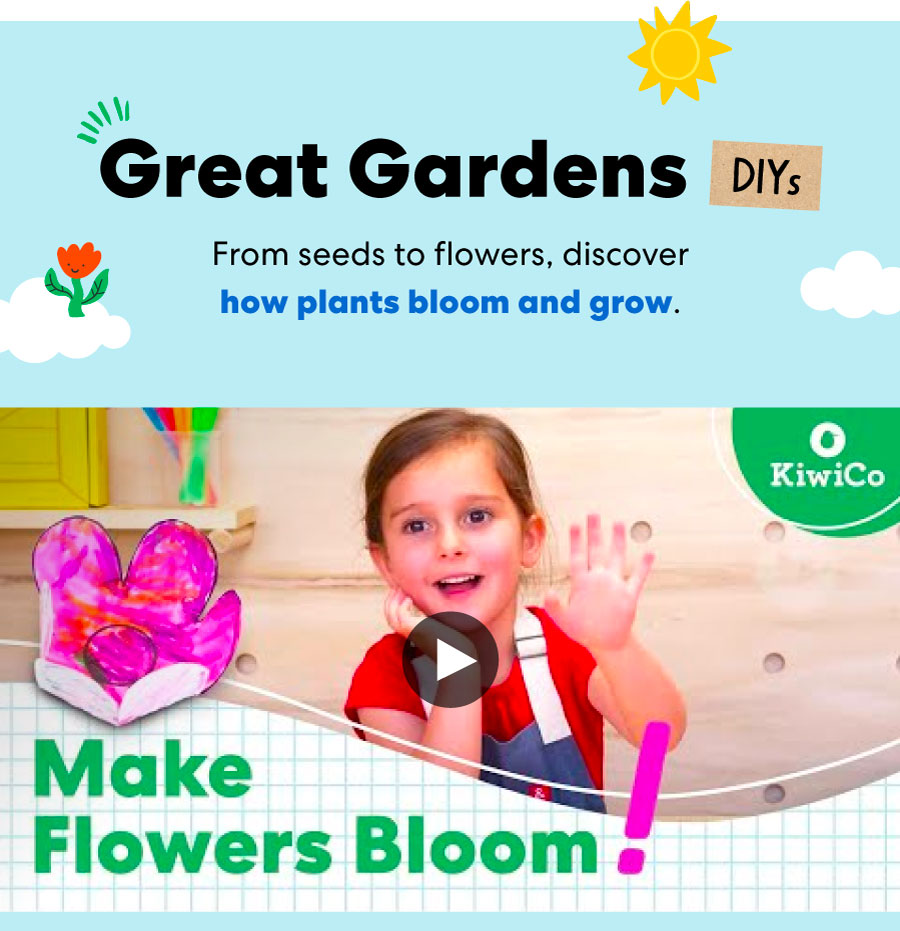 YouTube Video: Make Flowers Bloom