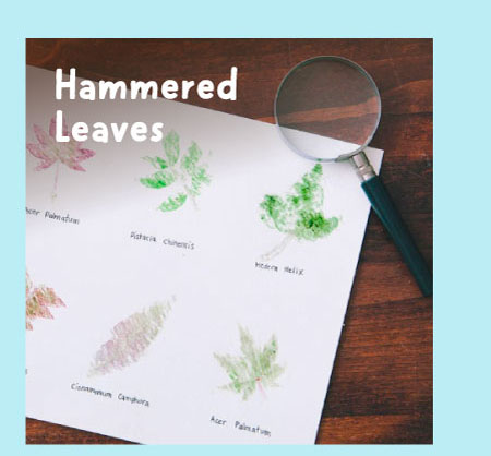 Hammered Leaves