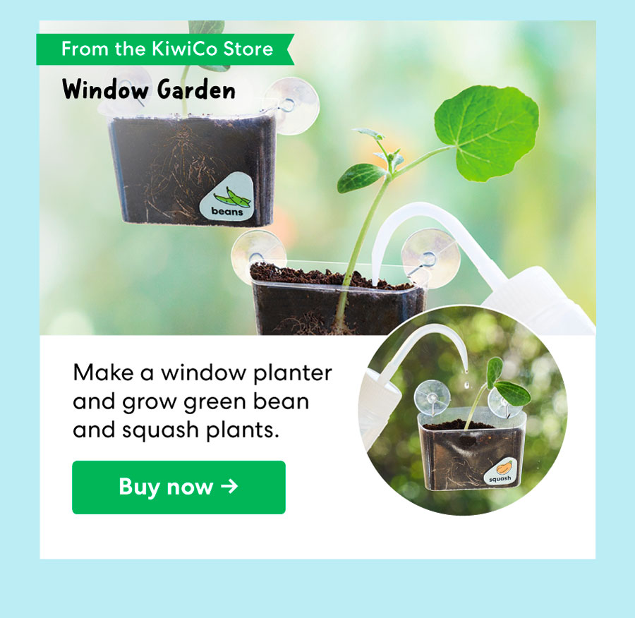 From the KiwiCo Store: Window Garden