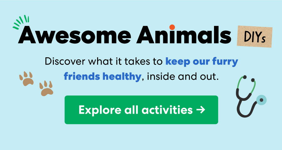 Awesome Animals DIYs