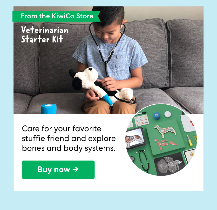 From the KiwiCo Store: Veterinarian Starter Kit