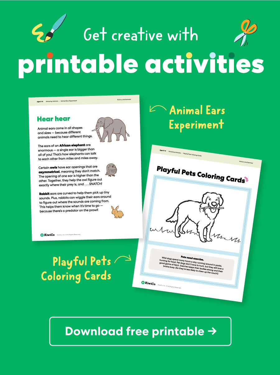 Get creative with printable activities