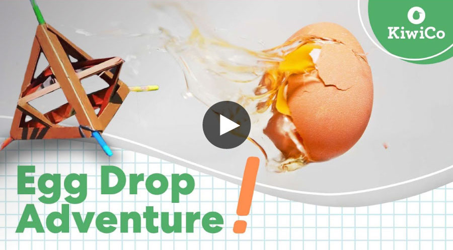 Egg Drop Adventure