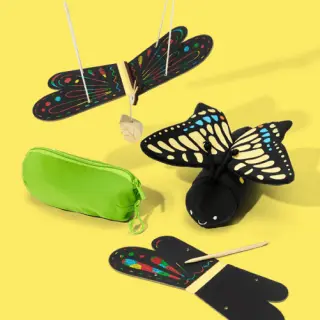 Butterflies and Caterpillars